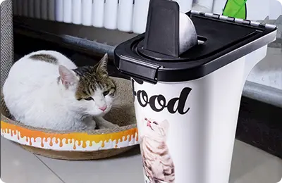 Pet Food