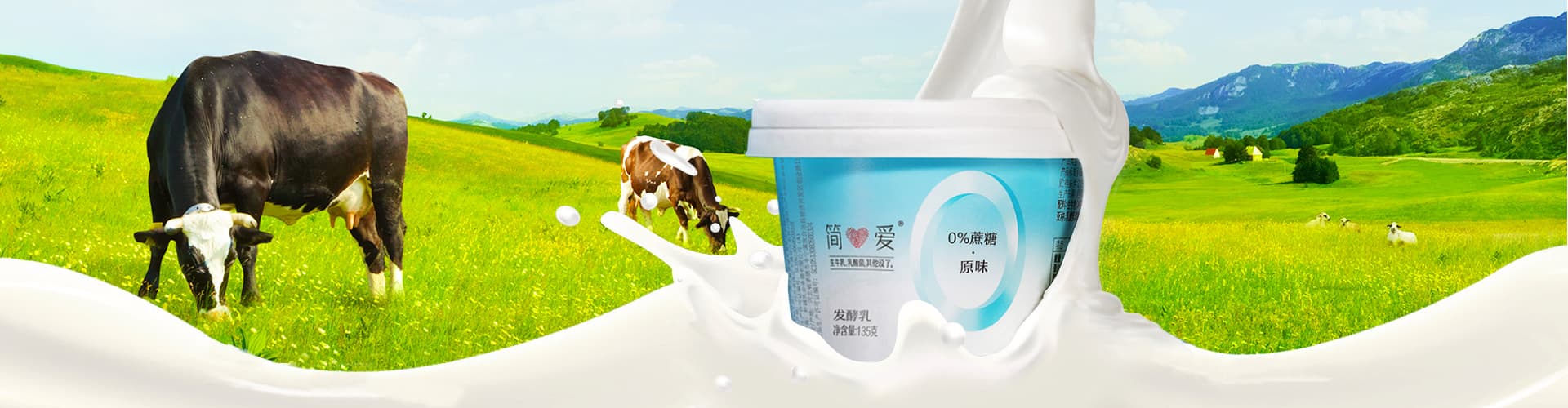 IML Yogurt Cup