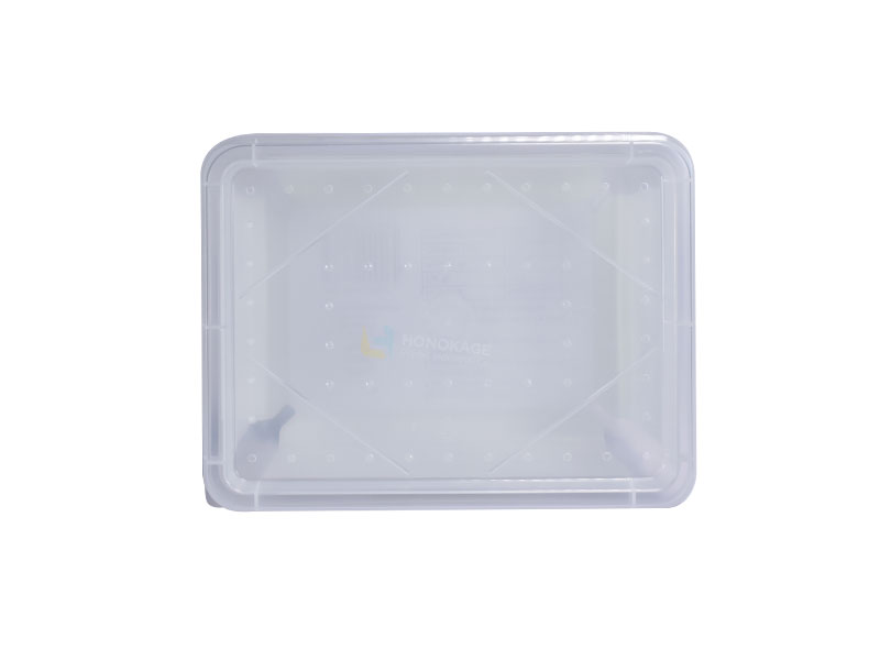 container for mealworms