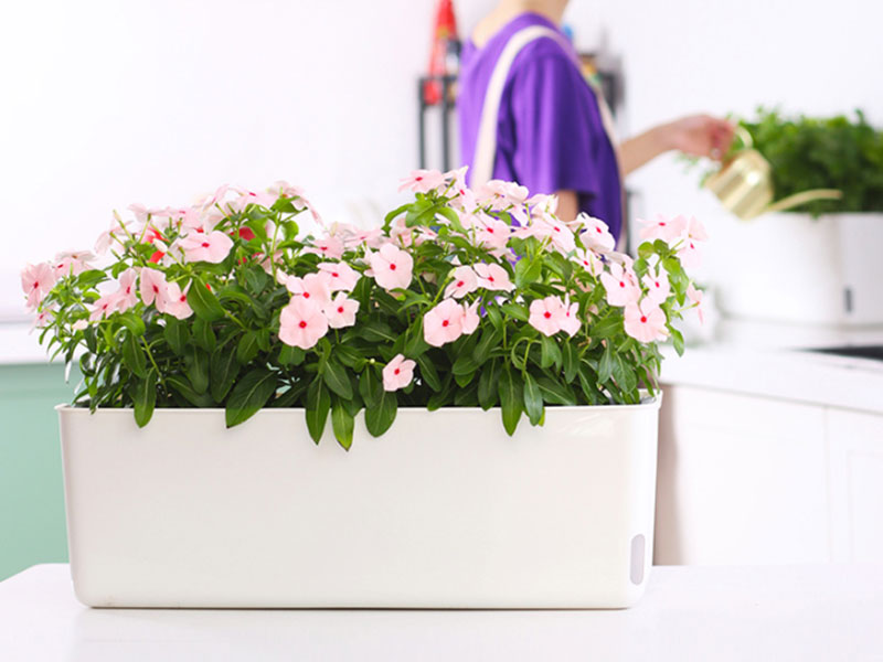 16-inch Plastic Flower Planter