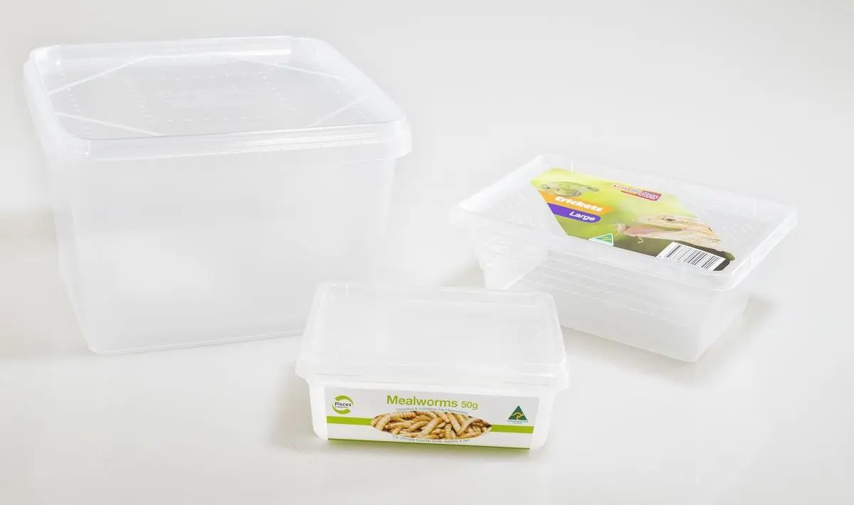IML Containers for Crickets and Mealworms